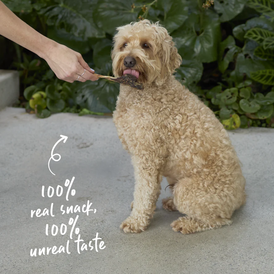Aussie Kangaroo Tendon Dog Treats - Image 6