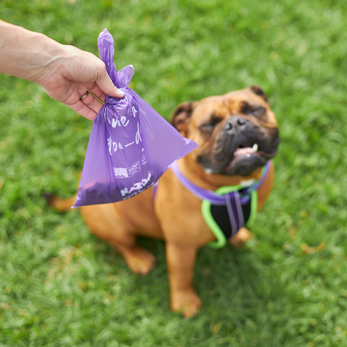 Eco-Friendly Compostable Biodegradable Poop Bags - 50pk - Image 4