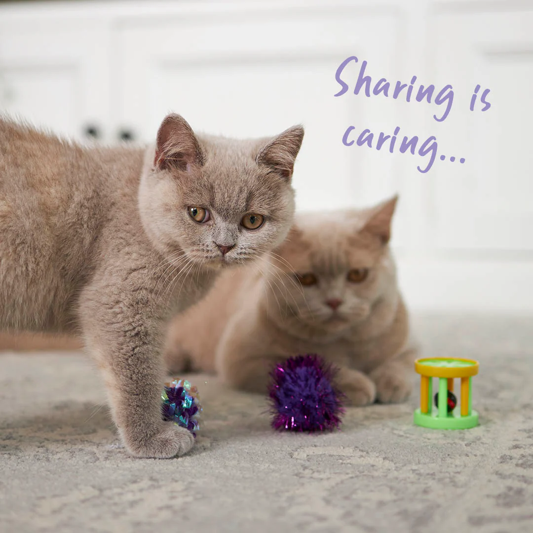 Barrel Rattle Cat Toy - Image 3