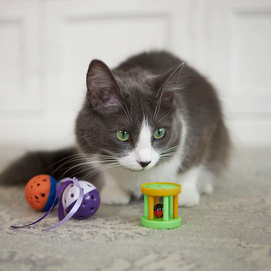 Barrel Rattle Cat Toy - Image 4