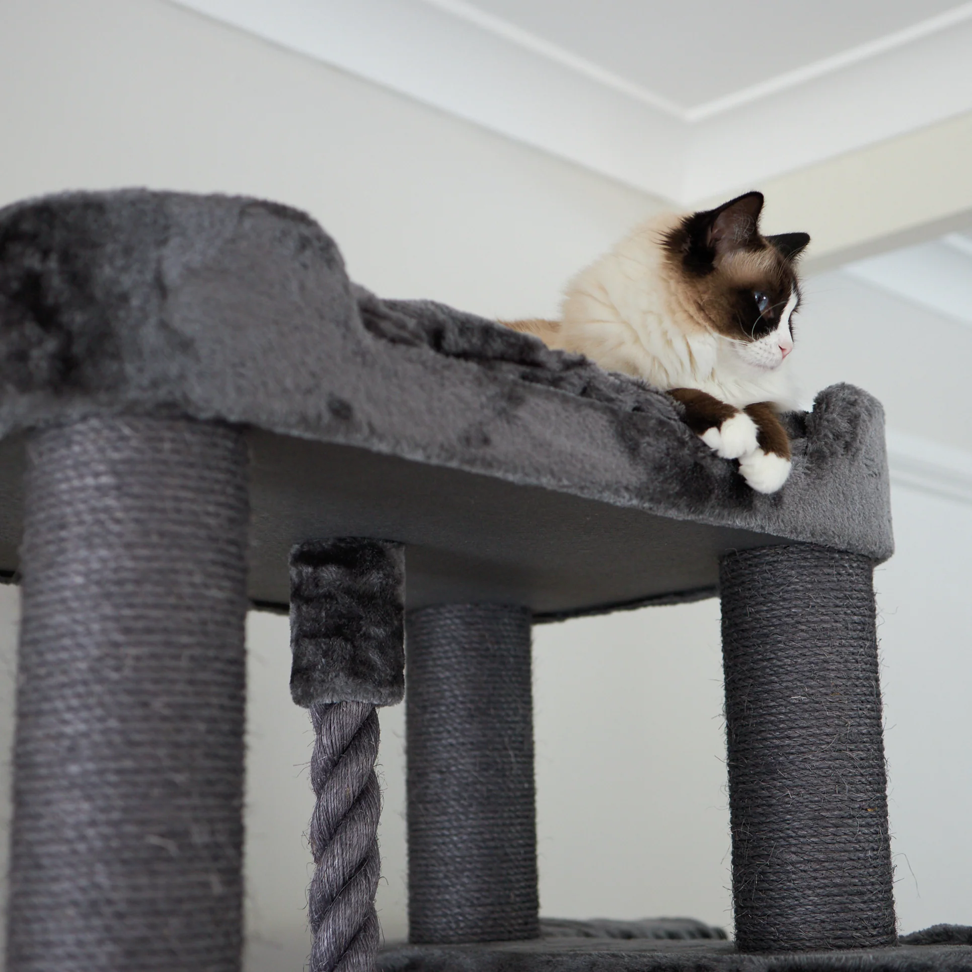 Kitty Climb Playground - Charcoal - Image 10