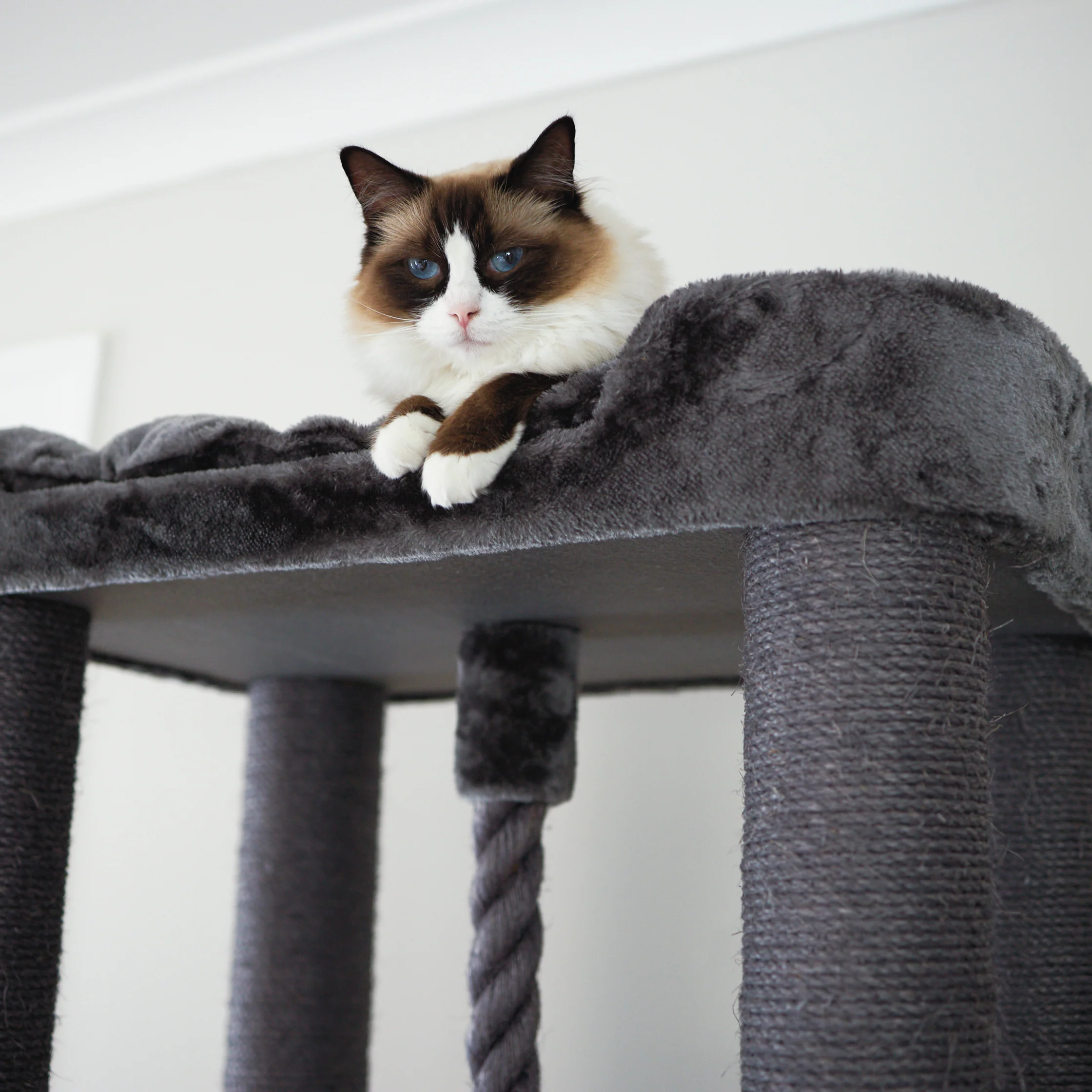 Kitty Climb Playground - Charcoal - Image 11