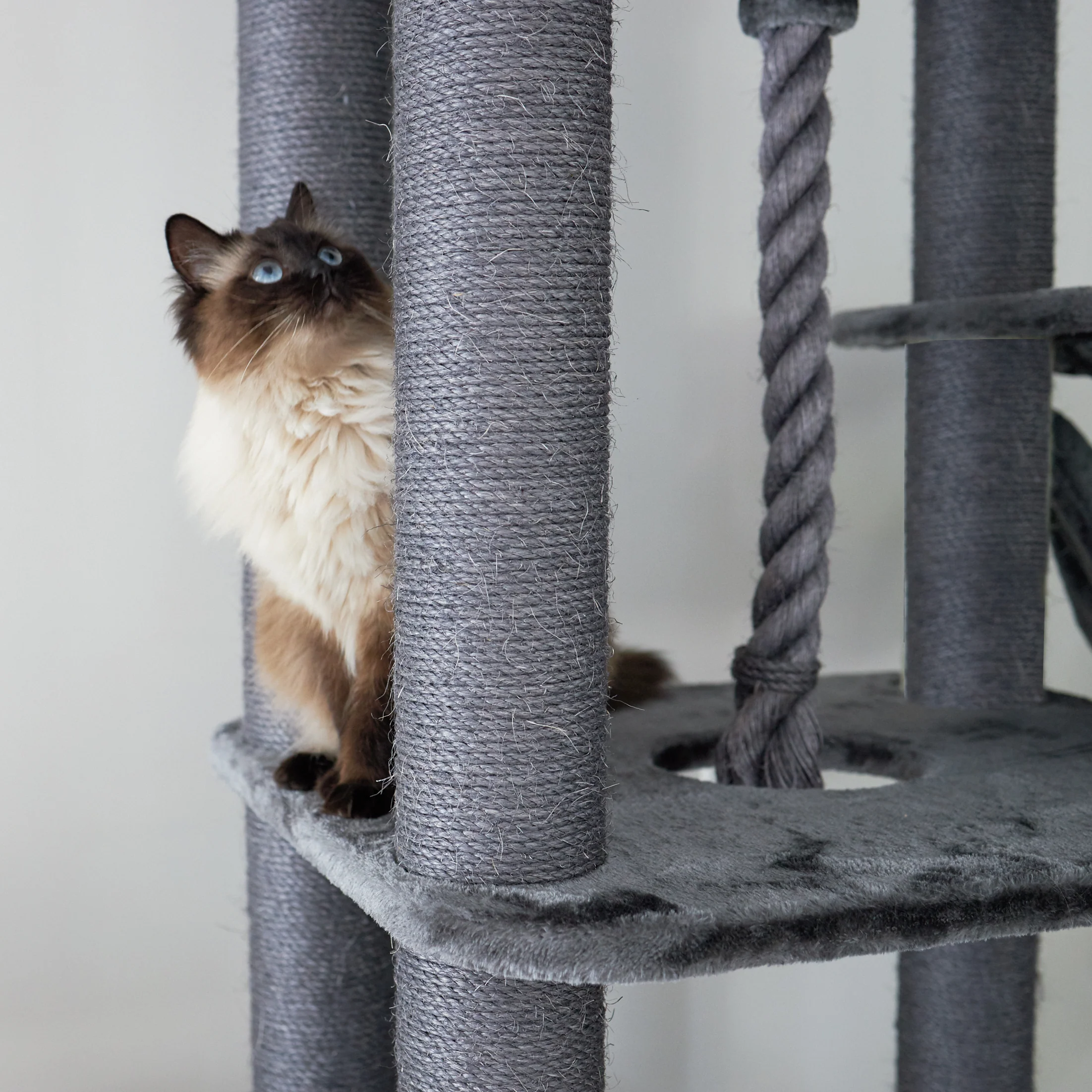 Kitty Climb Playground - Charcoal - Image 14