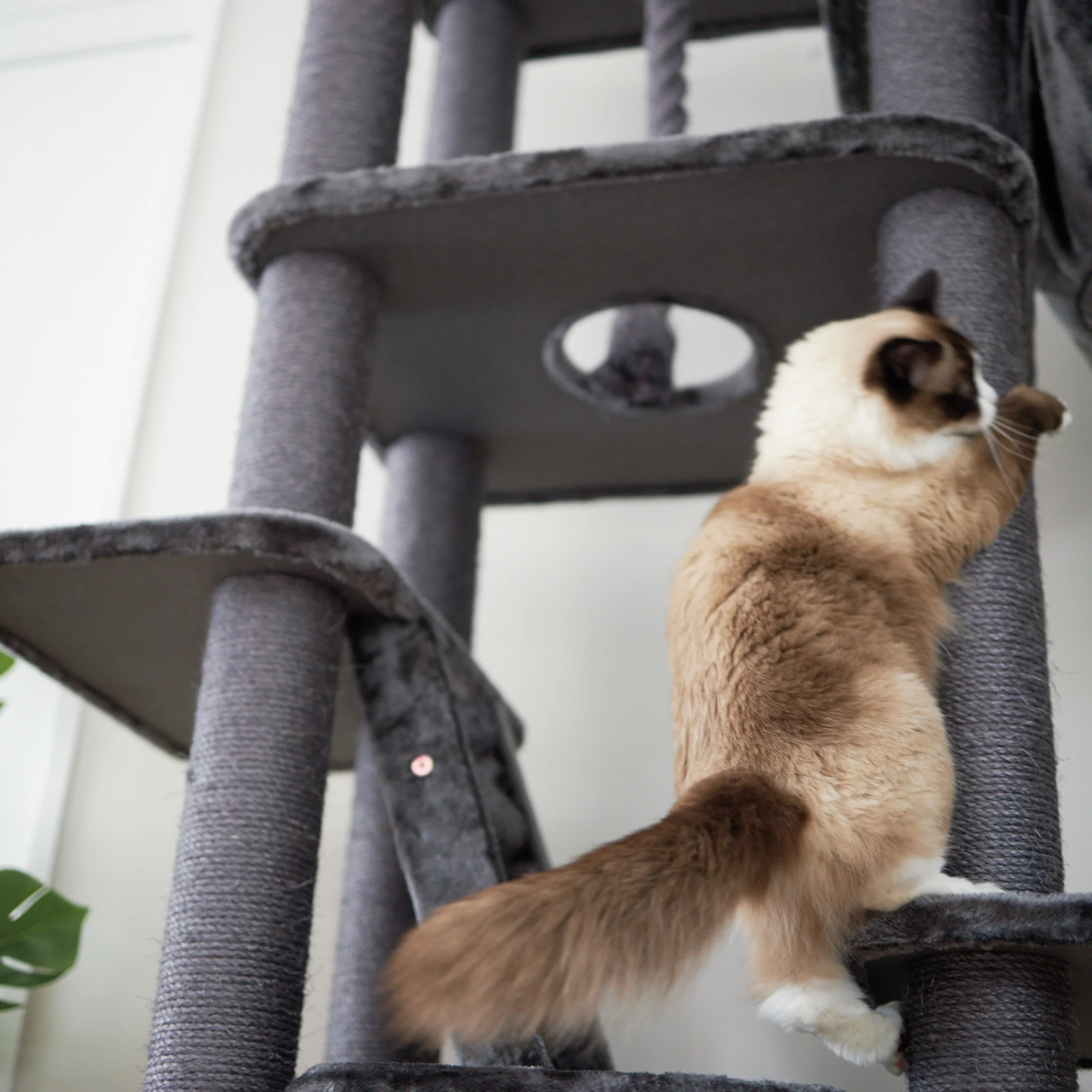Kitty Climb Playground - Charcoal - Image 3