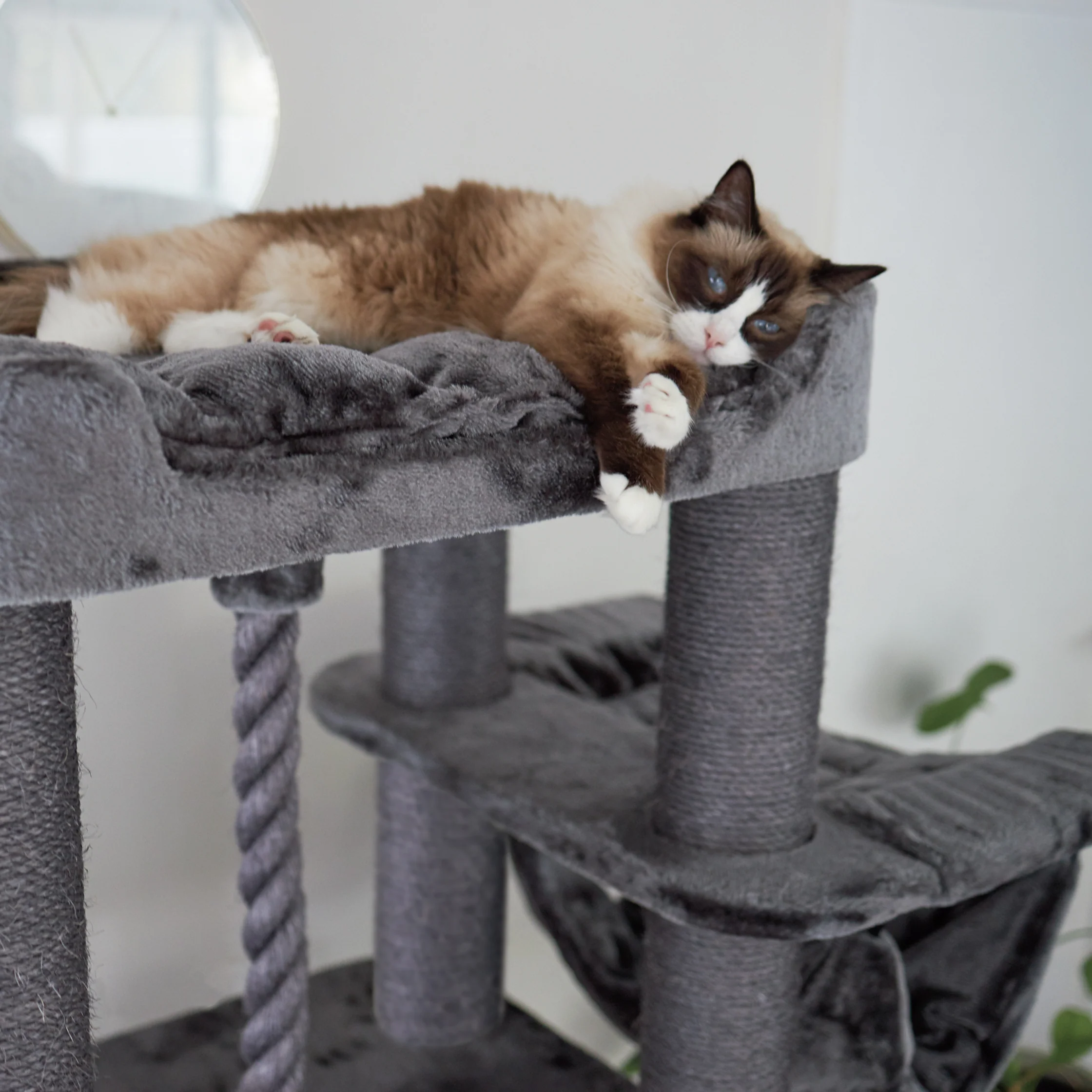 Kitty Climb Playground - Charcoal - Image 8