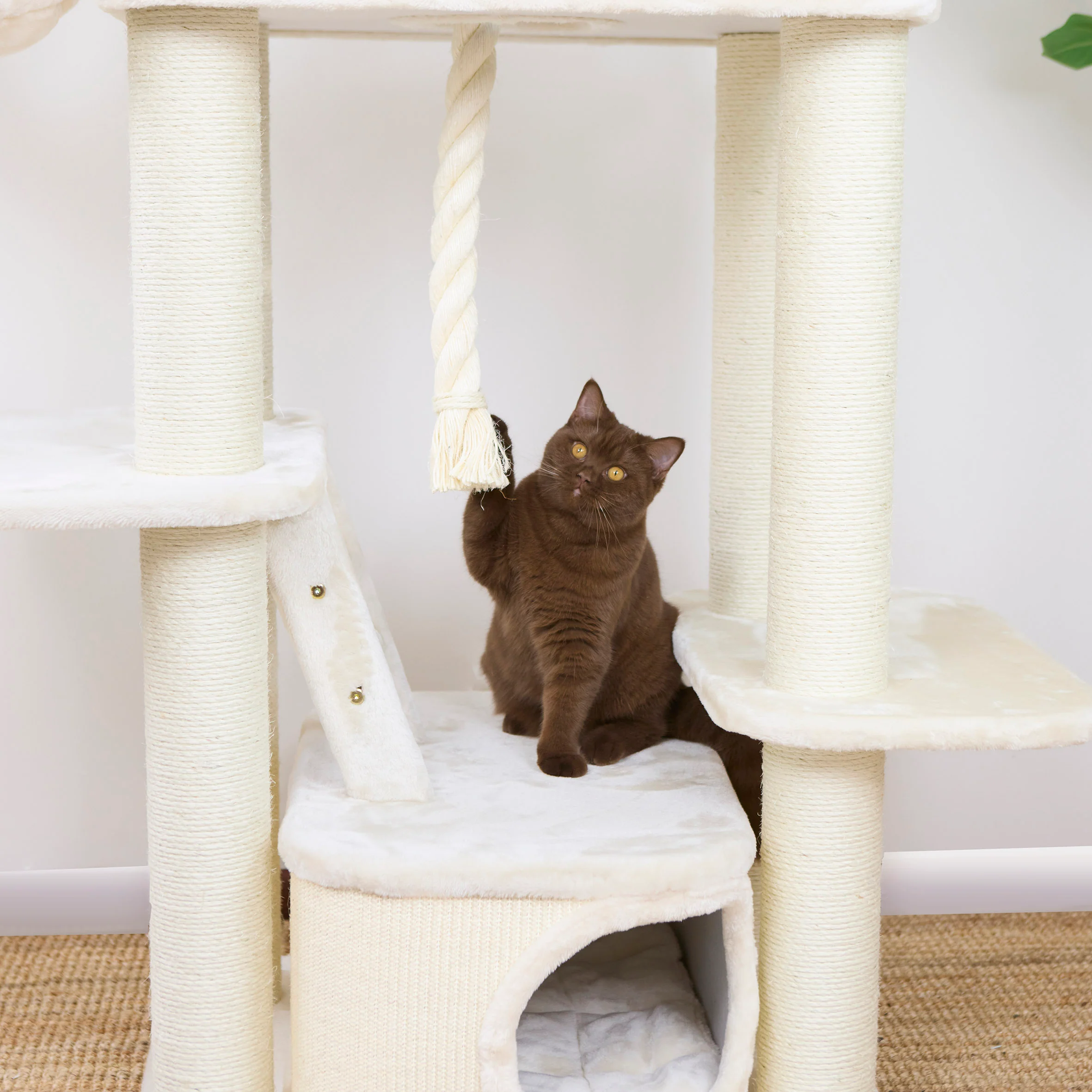 Kitty Climb Playground - Cream - Image 10