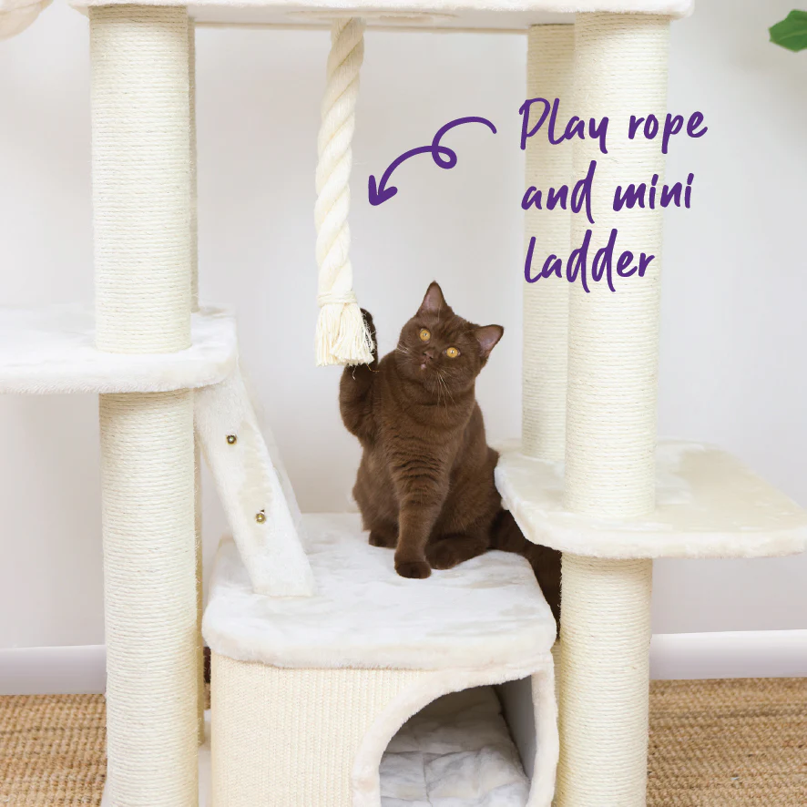 Kitty Climb Playground - Cream - Image 3