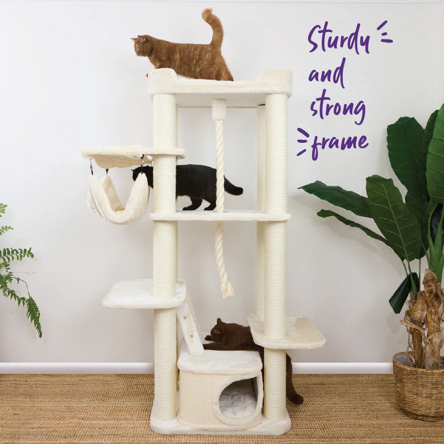 Kitty Climb Playground - Cream - Image 5
