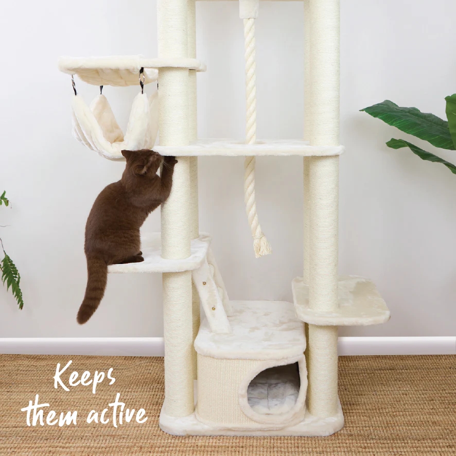 Kitty Climb Playground - Cream - Image 7