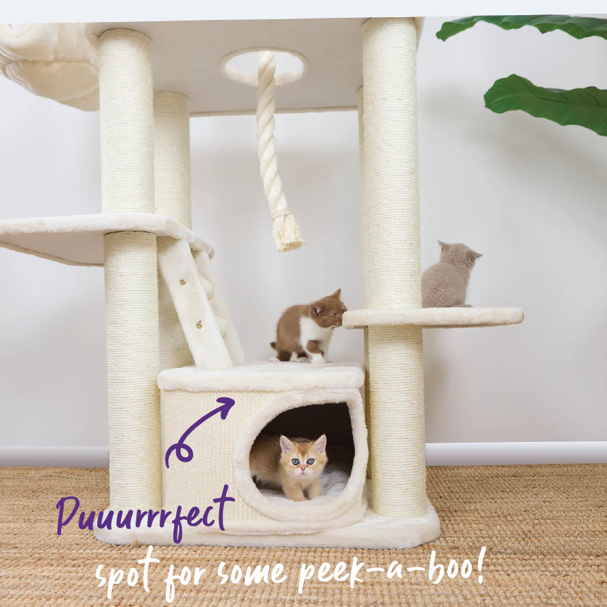 Kitty Climb Playground - Cream - Image 8