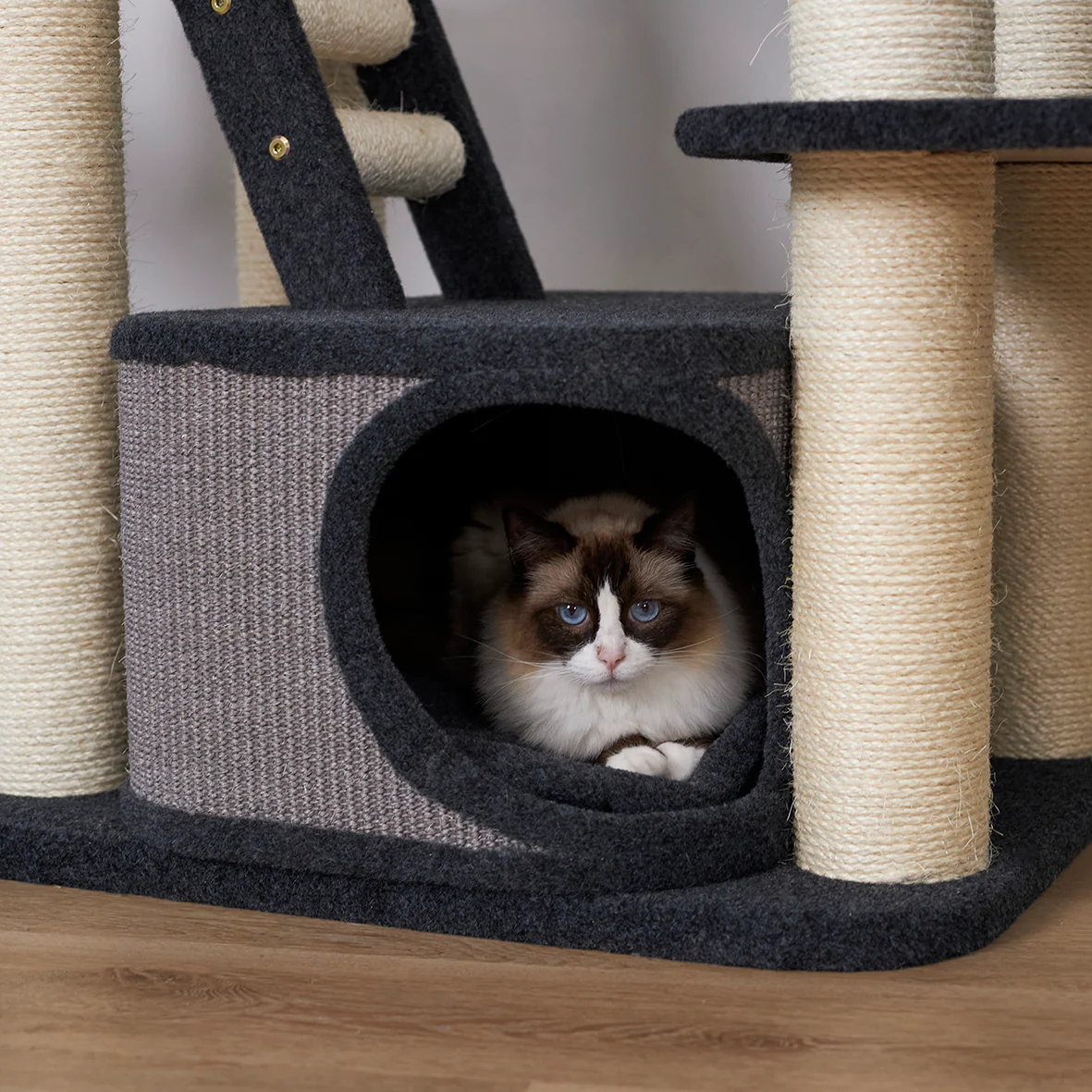 Kitty Climb Playground - Grey Carpet - Image 11
