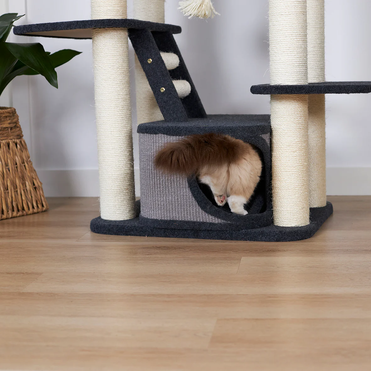Kitty Climb Playground - Grey Carpet - Image 12