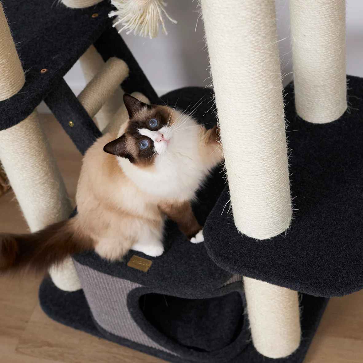 Kitty Climb Playground - Grey Carpet - Image 13