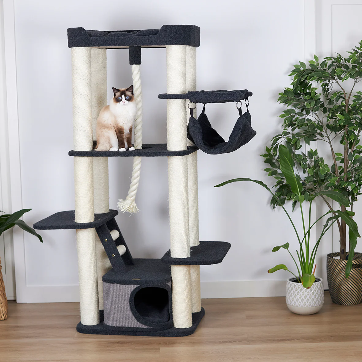 Kitty Climb Playground - Grey Carpet - Image 5