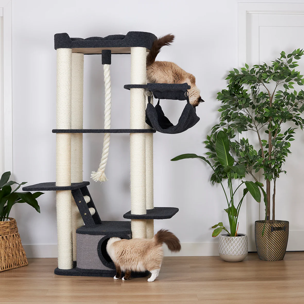 Kitty Climb Playground - Grey Carpet - Image 6