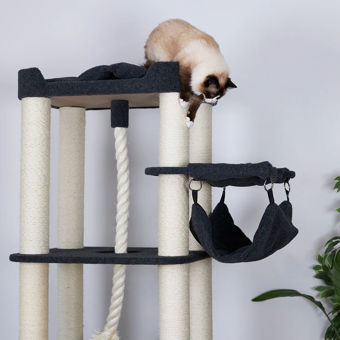 Kitty Climb Playground - Grey Carpet - Image 9