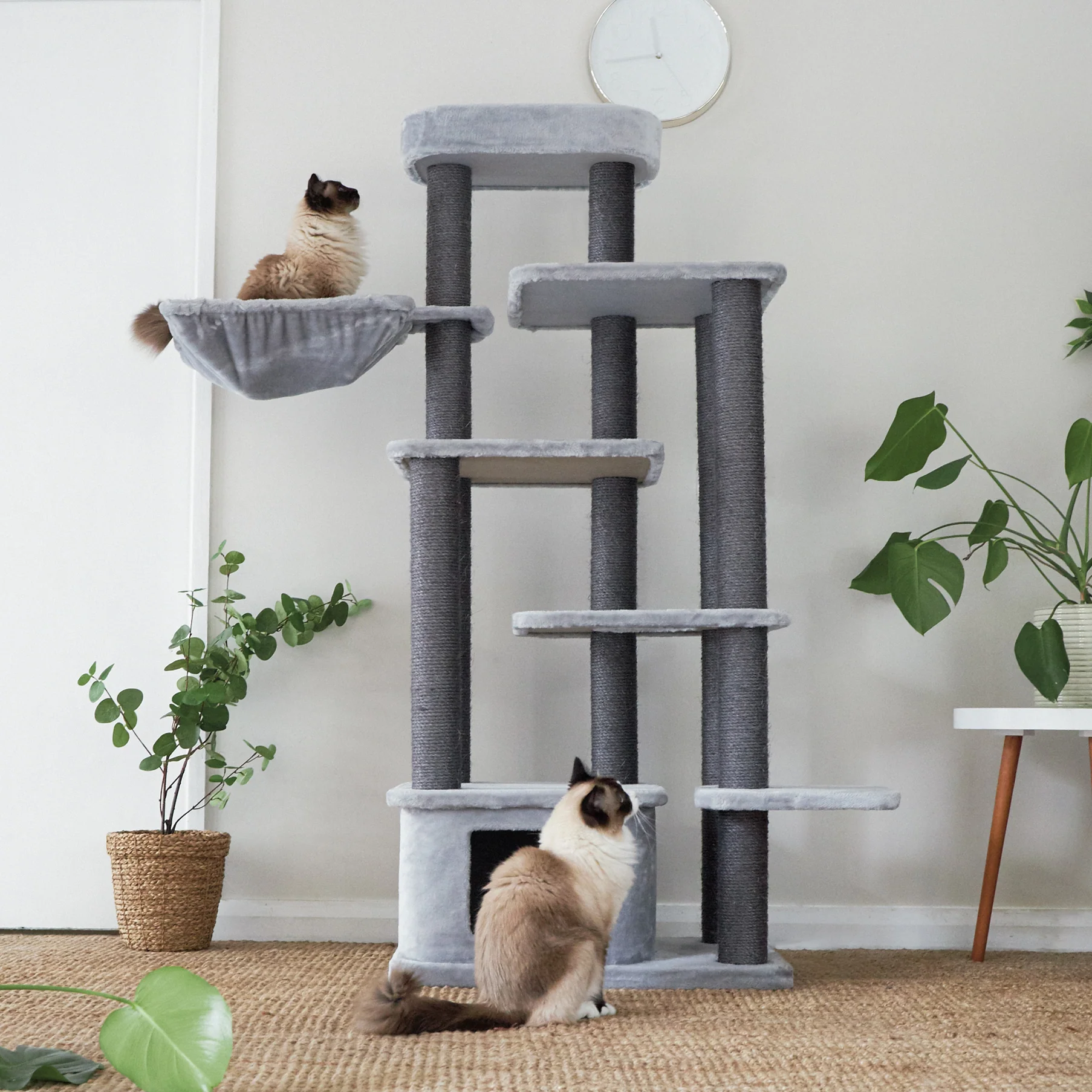 Kitty Condo Multi-Platform - Image 6