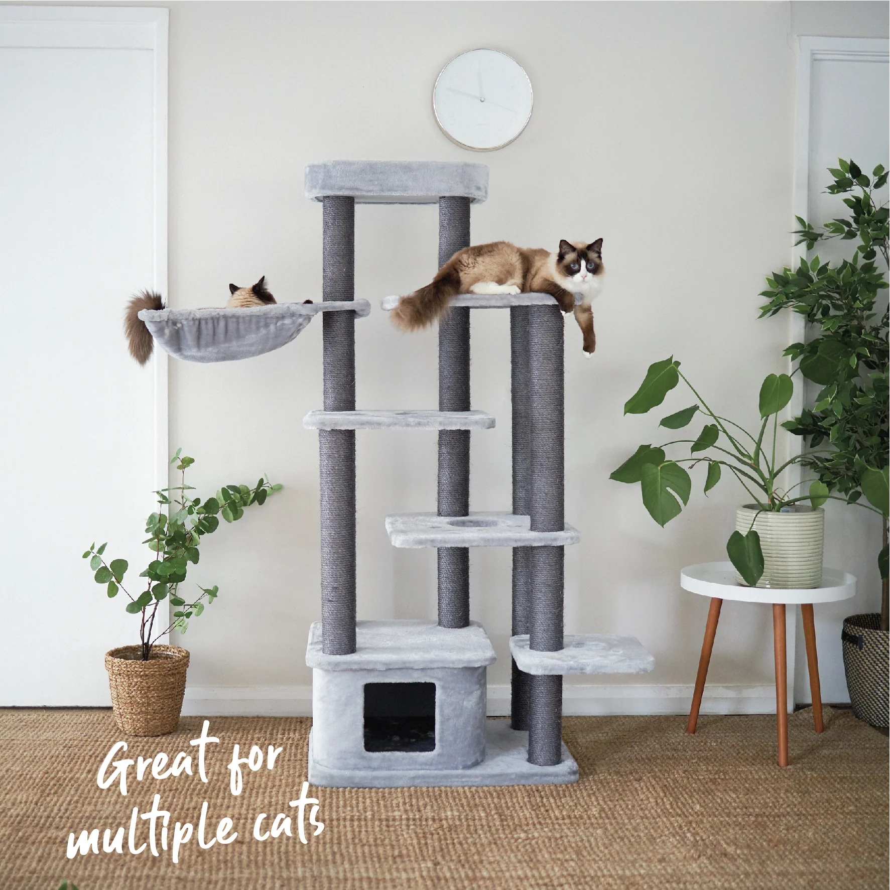 Kitty Condo Multi-Platform - Image 9