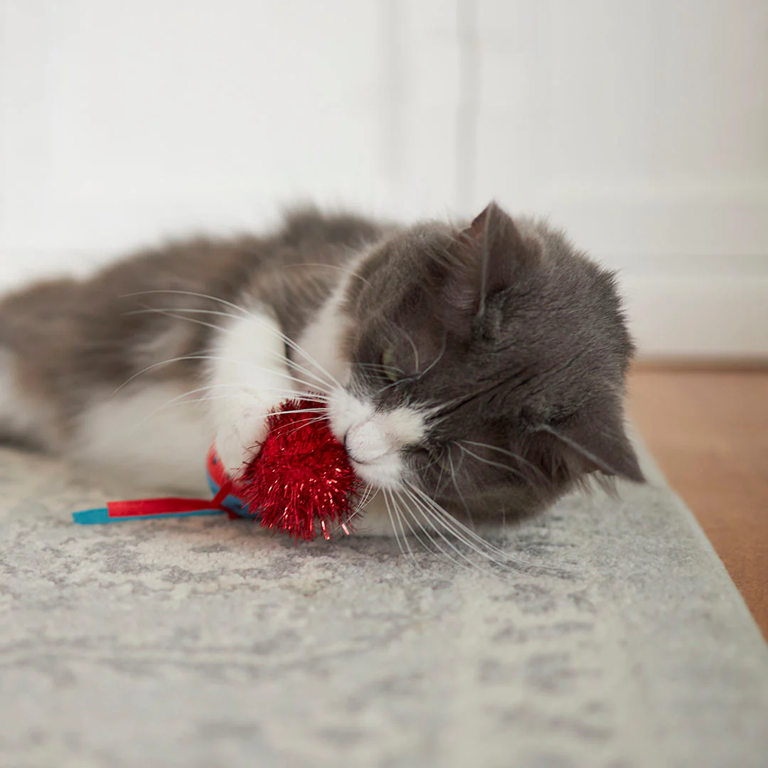 Kitty Pom Pom Ball - Image 2