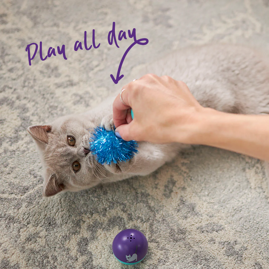 Kitty Pom Pom Ball - Image 3