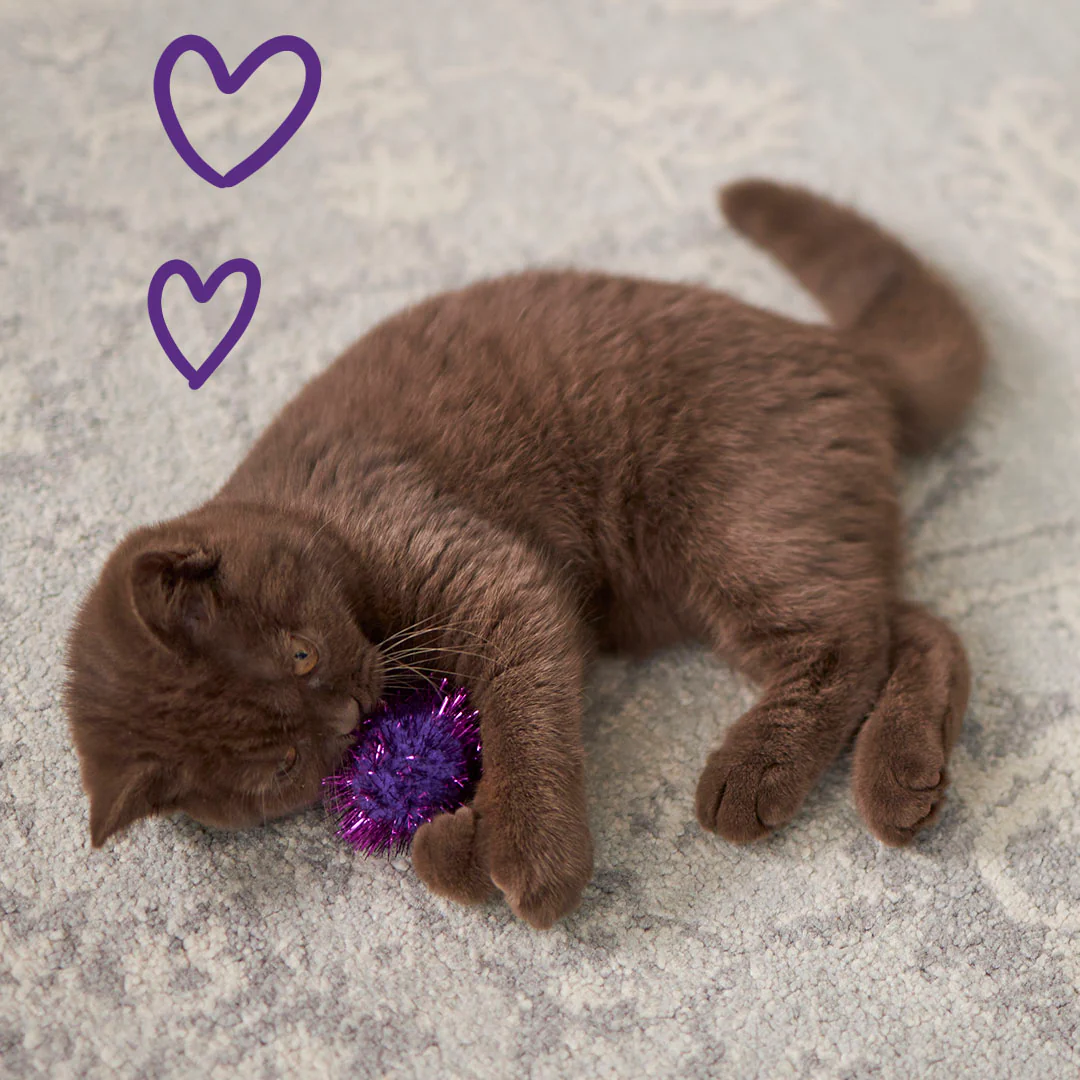 Kitty Pom Pom Ball - Image 4