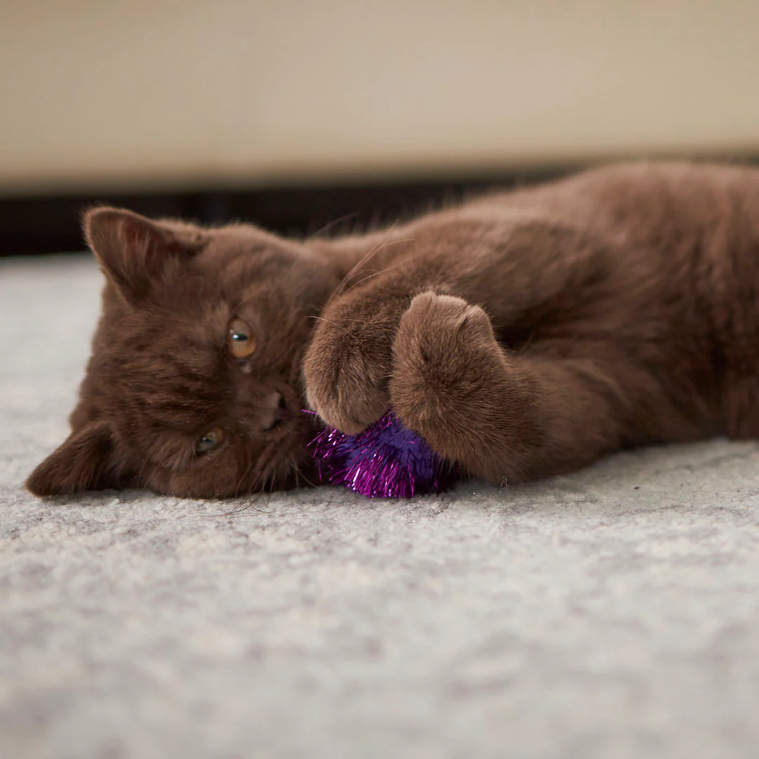 Kitty Pom Pom Ball - Image 7