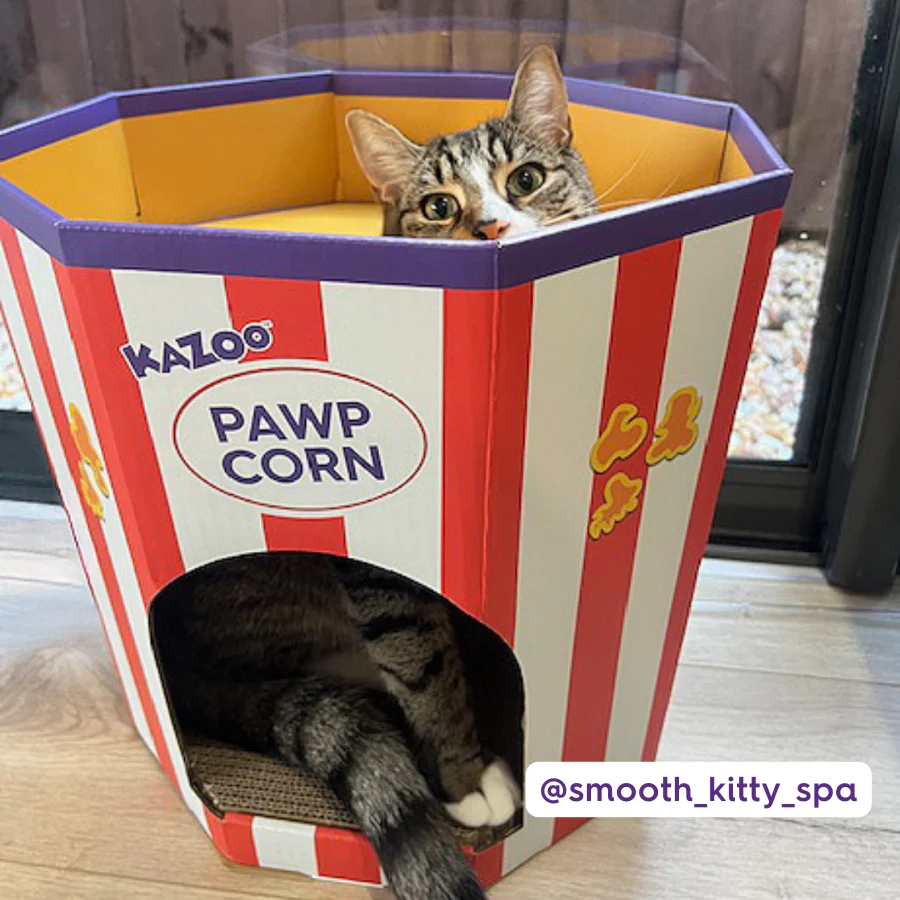 Kitty Popcorn Cardboard House - Image 4