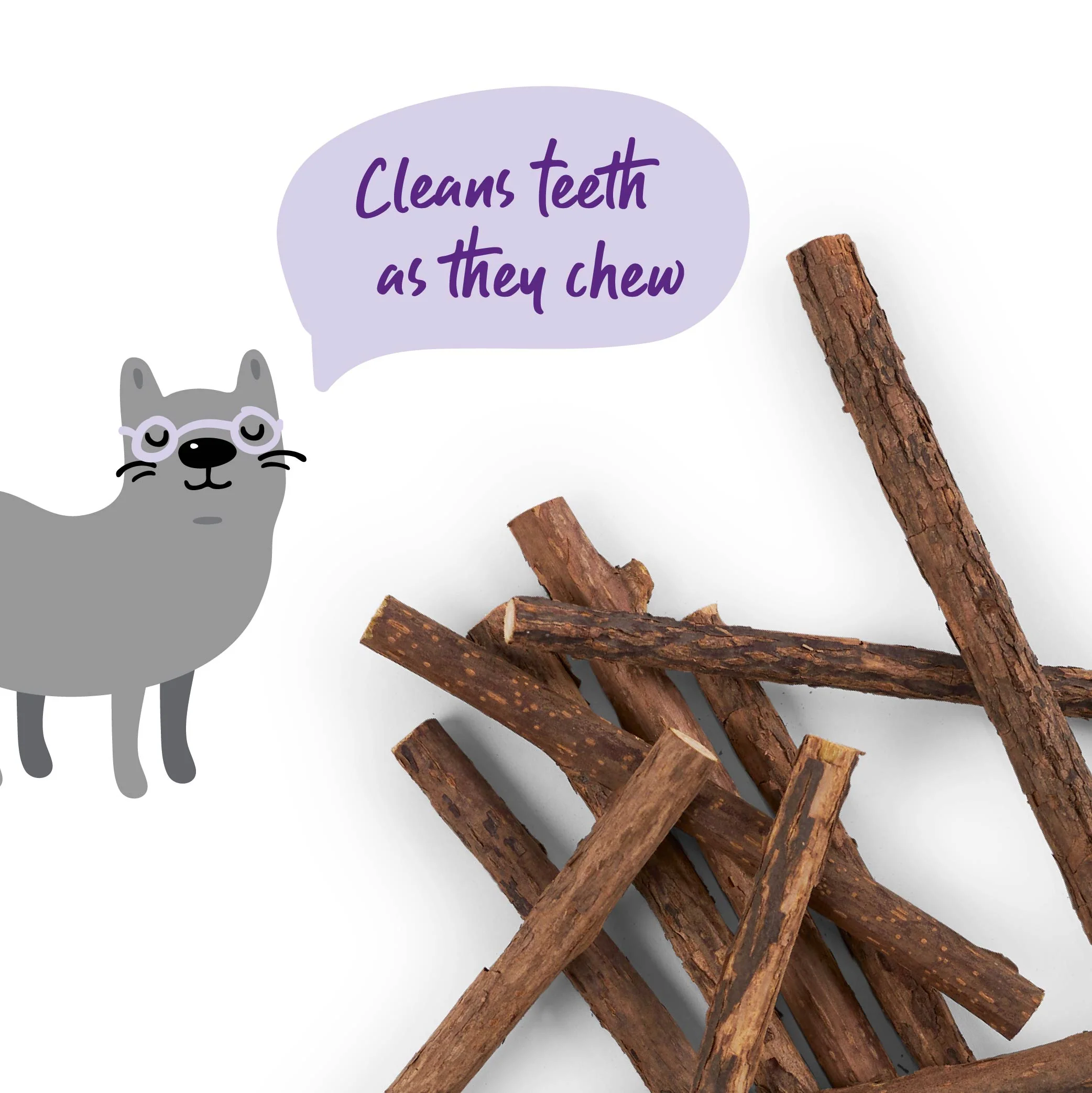 Kitty Silvervine Dental Chews - 10 pack - Image 12