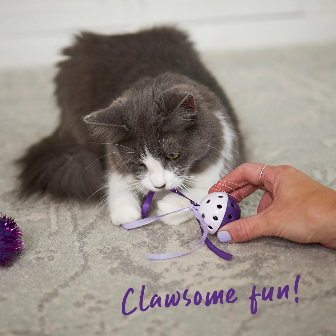 Kitty Streamer Ball - Image 4