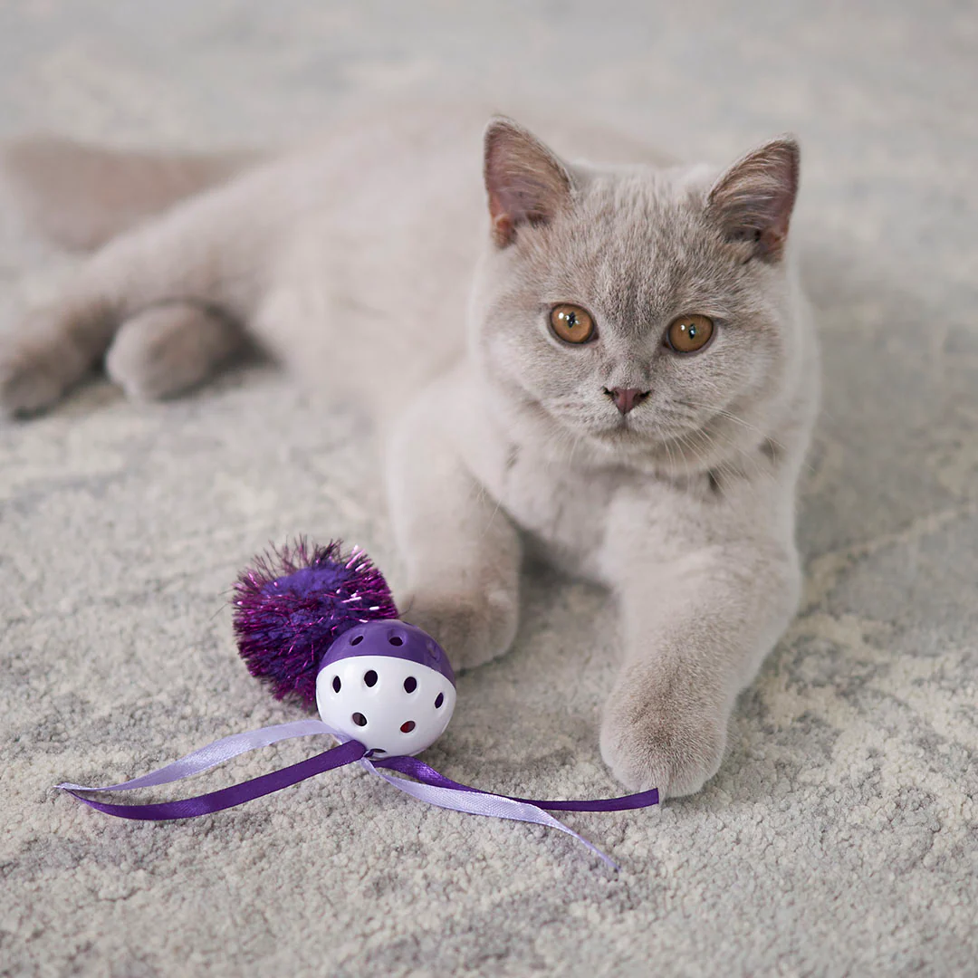 Kitty Streamer Ball - Image 6