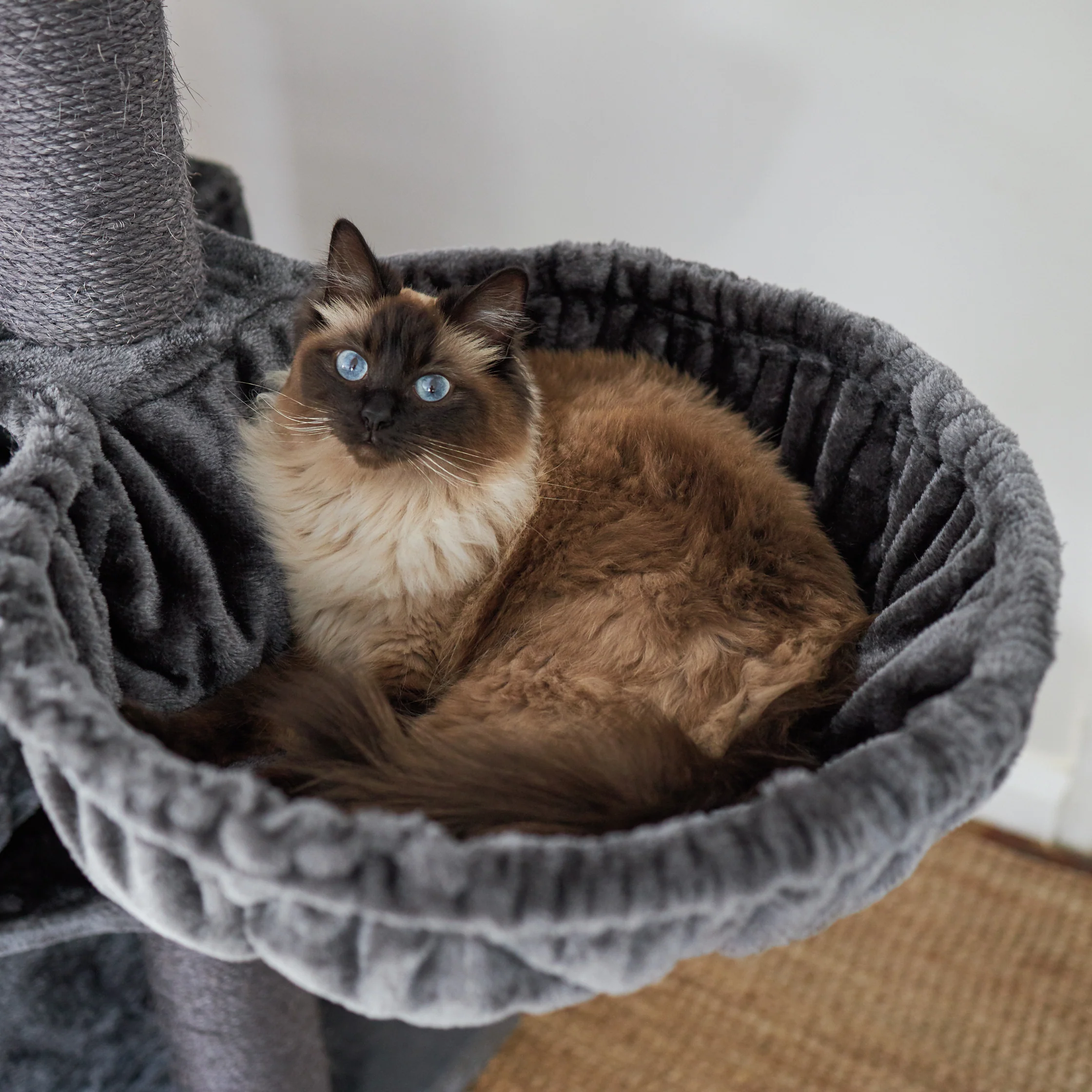 Kitty Tall Cubby Playground - Image 3