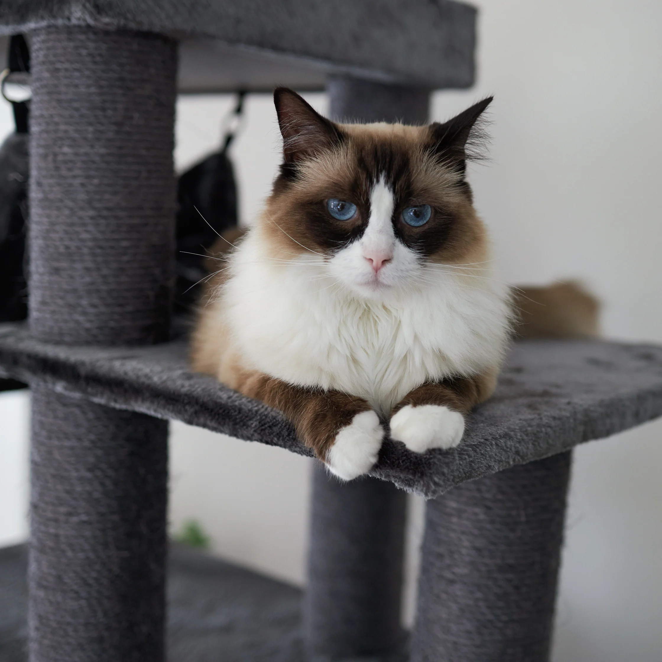 Kitty Tall Cubby Playground - Image 8
