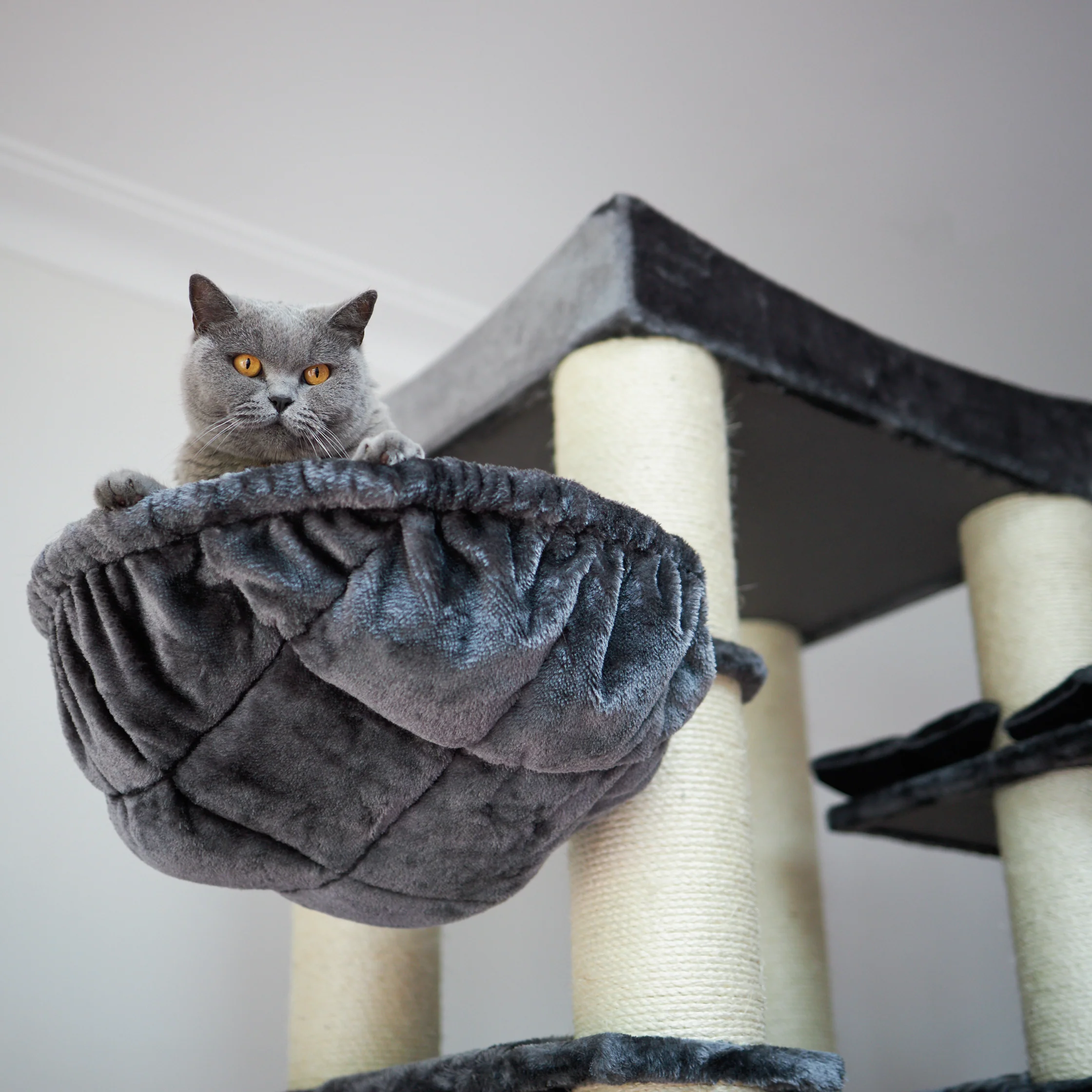 Kitty Tower Playground - Image 10