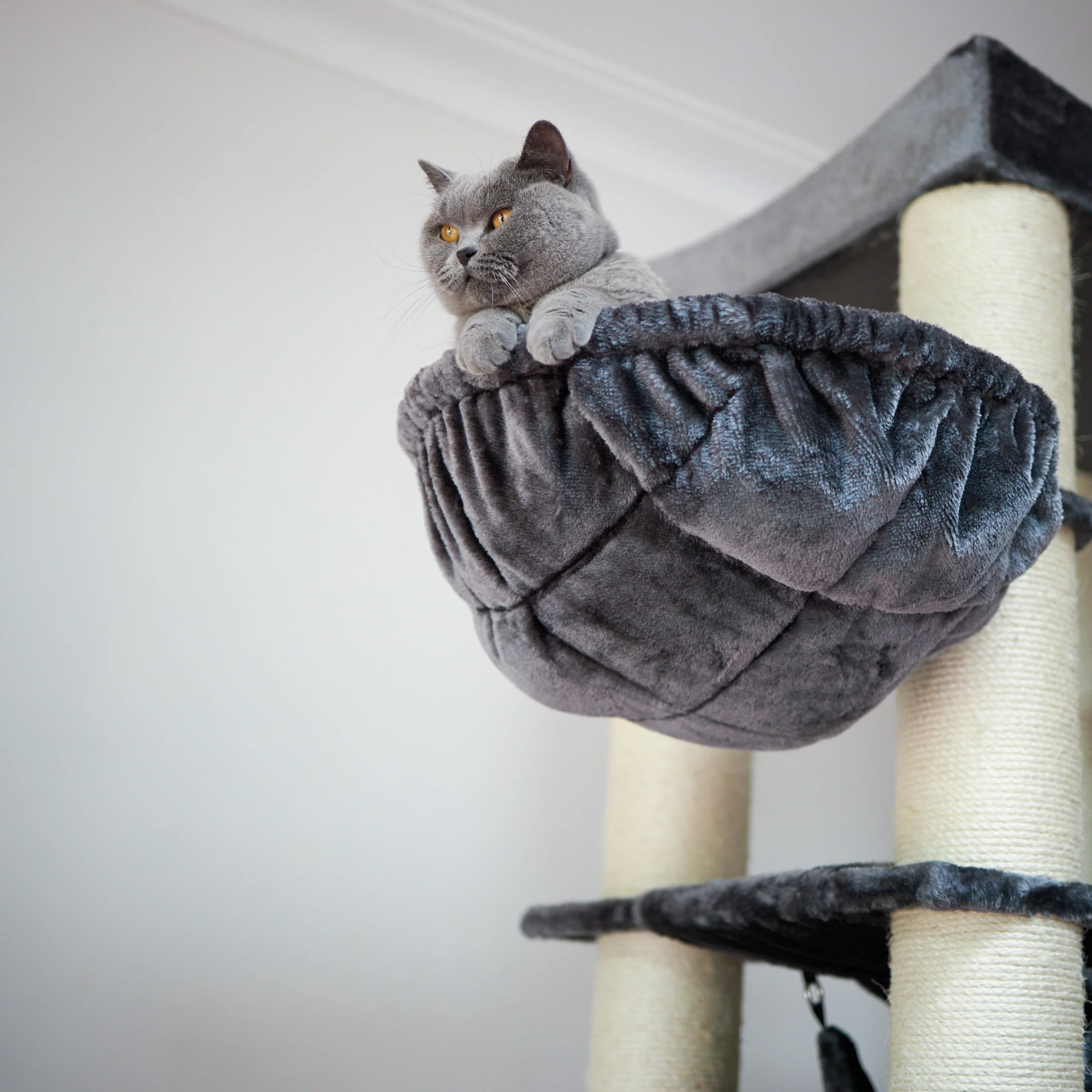 Kitty Tower Playground - Image 3