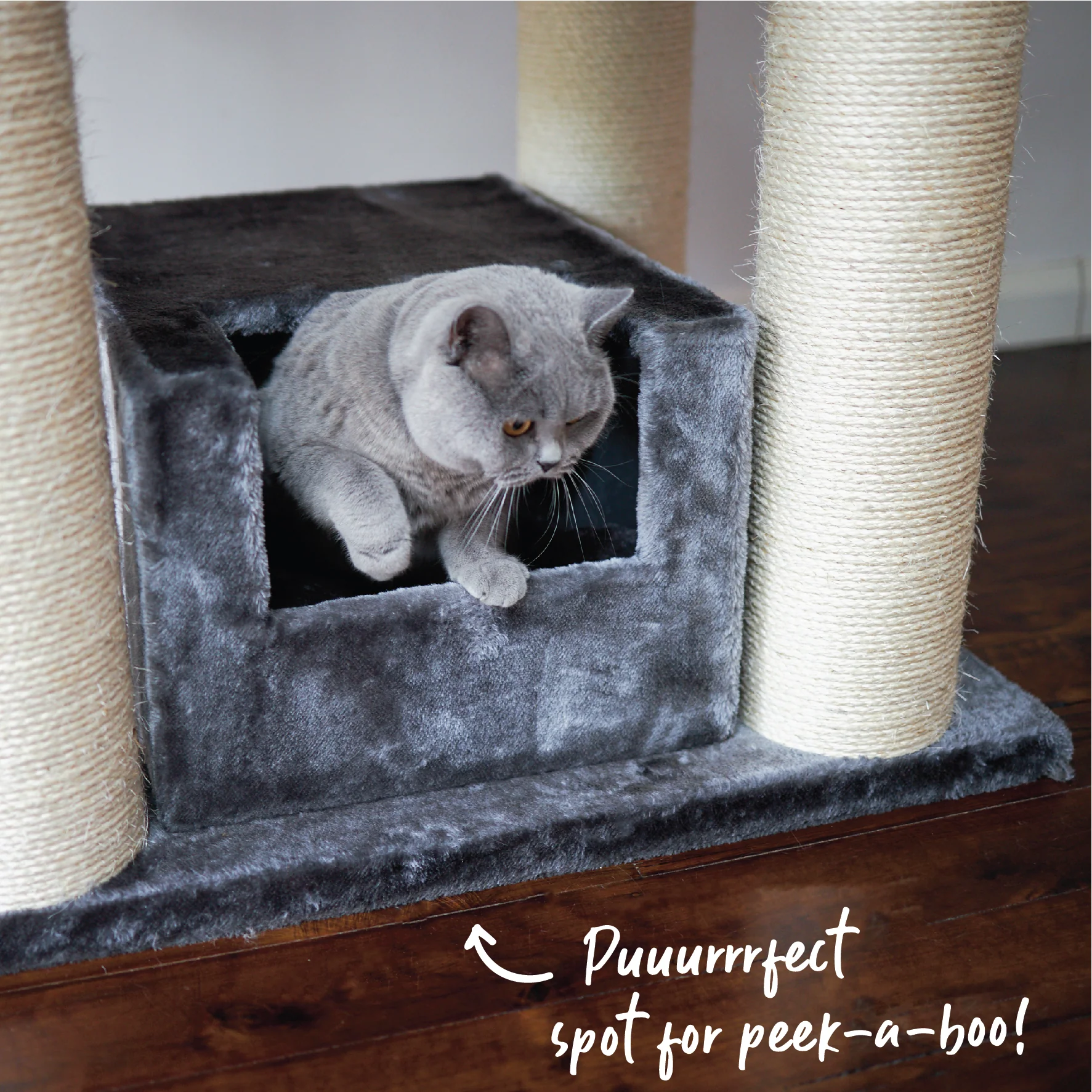 Kitty Tower Playground - Image 6