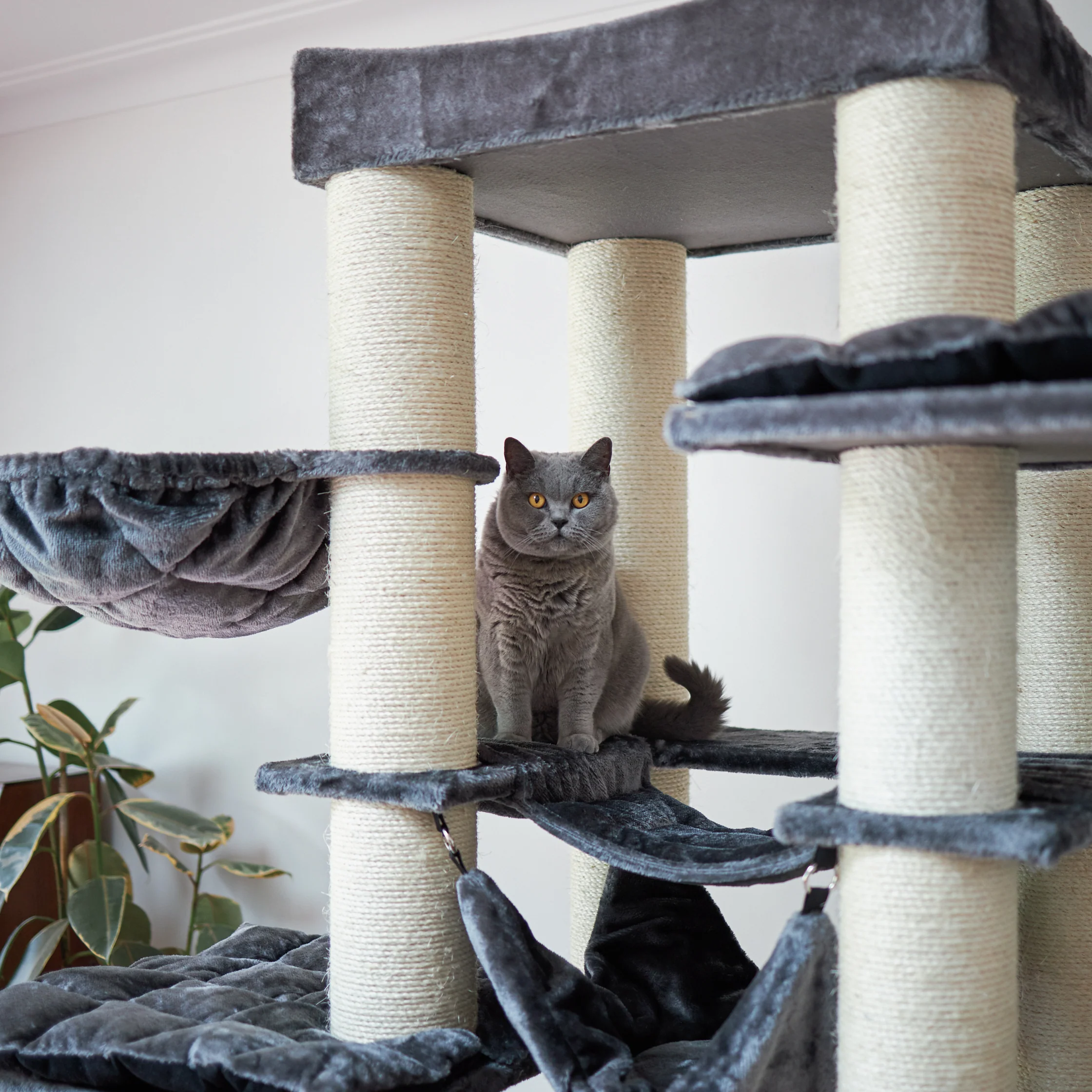Kitty Tower Playground - Image 7