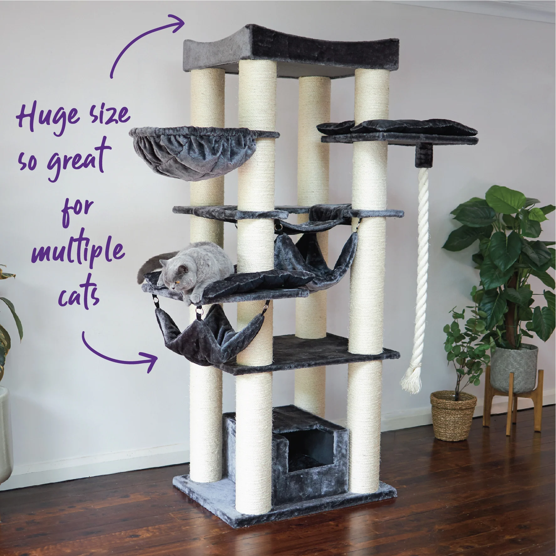 Kitty Tower Playground - Image 8