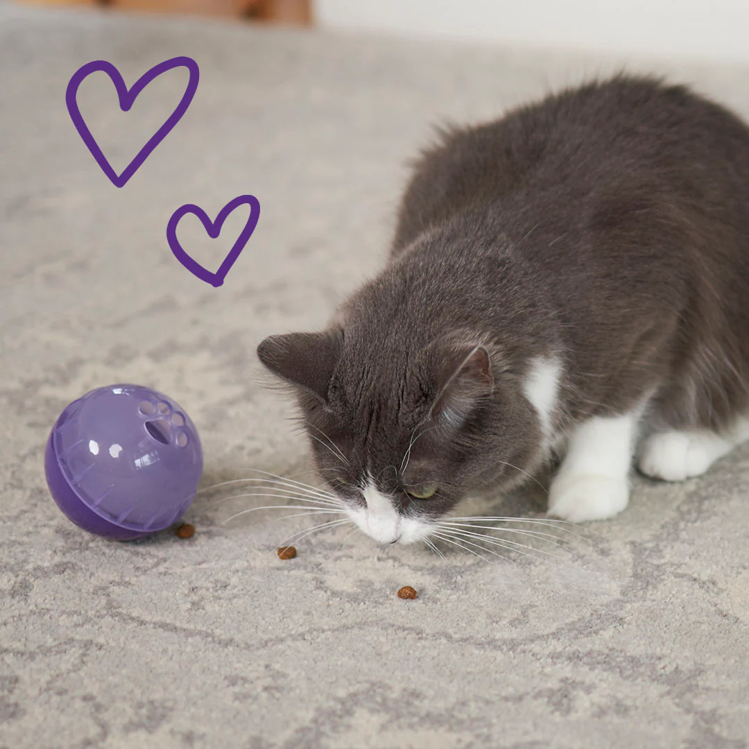 Cat Treat Enrichment Ball - Image 3