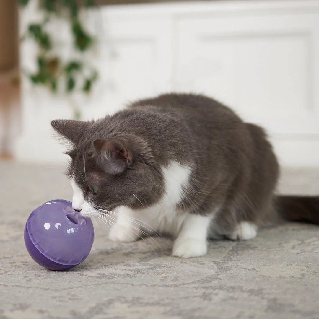 Cat Treat Enrichment Ball - Image 4