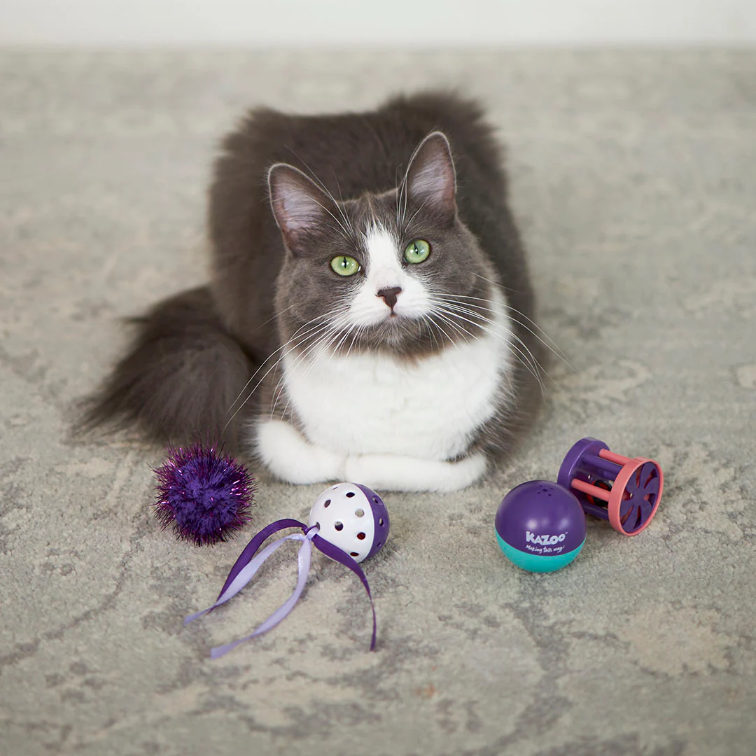 Kitty Wobble Ball - Image 3