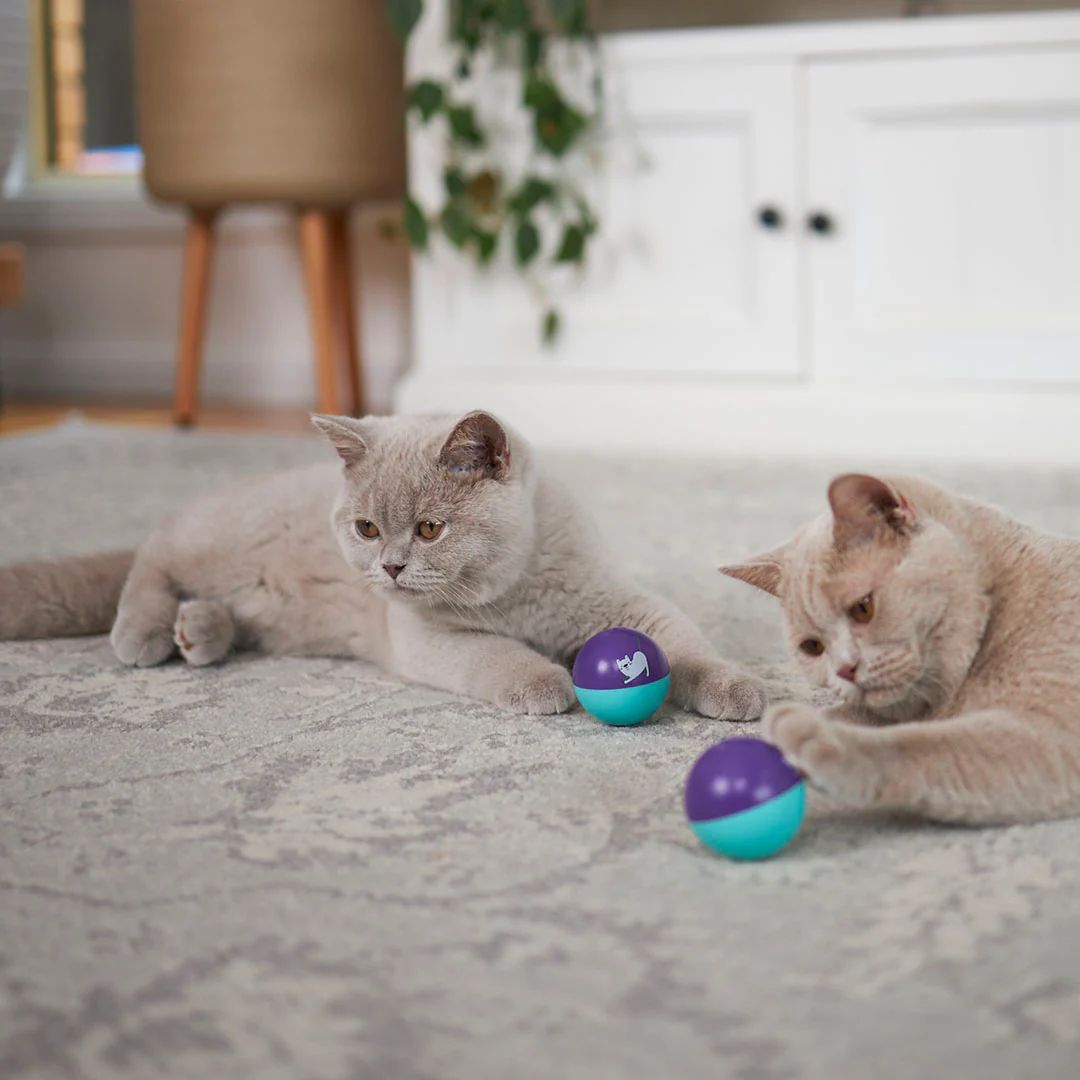 Kitty Wobble Ball - Image 4