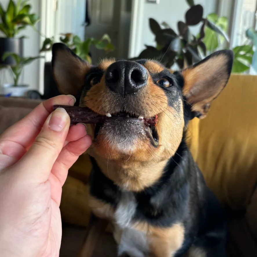 Aussie Lamb Sausage Dog Treats - Image 2