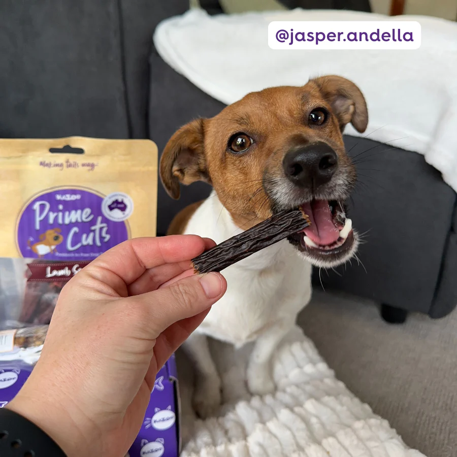 Aussie Lamb Sausage Dog Treats - Image 5