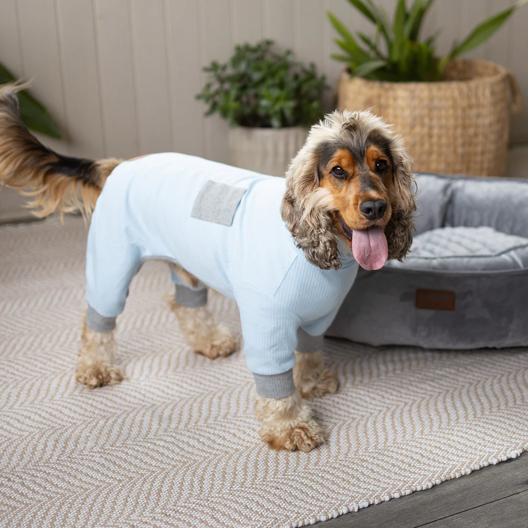 Long John Dog Pyjamas - Blue - Image 10