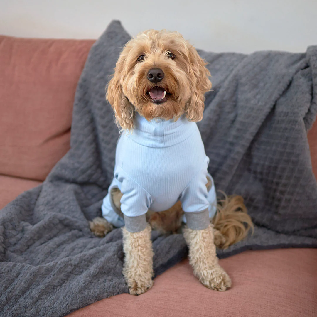 Long John Dog Pyjamas - Blue - Image 11