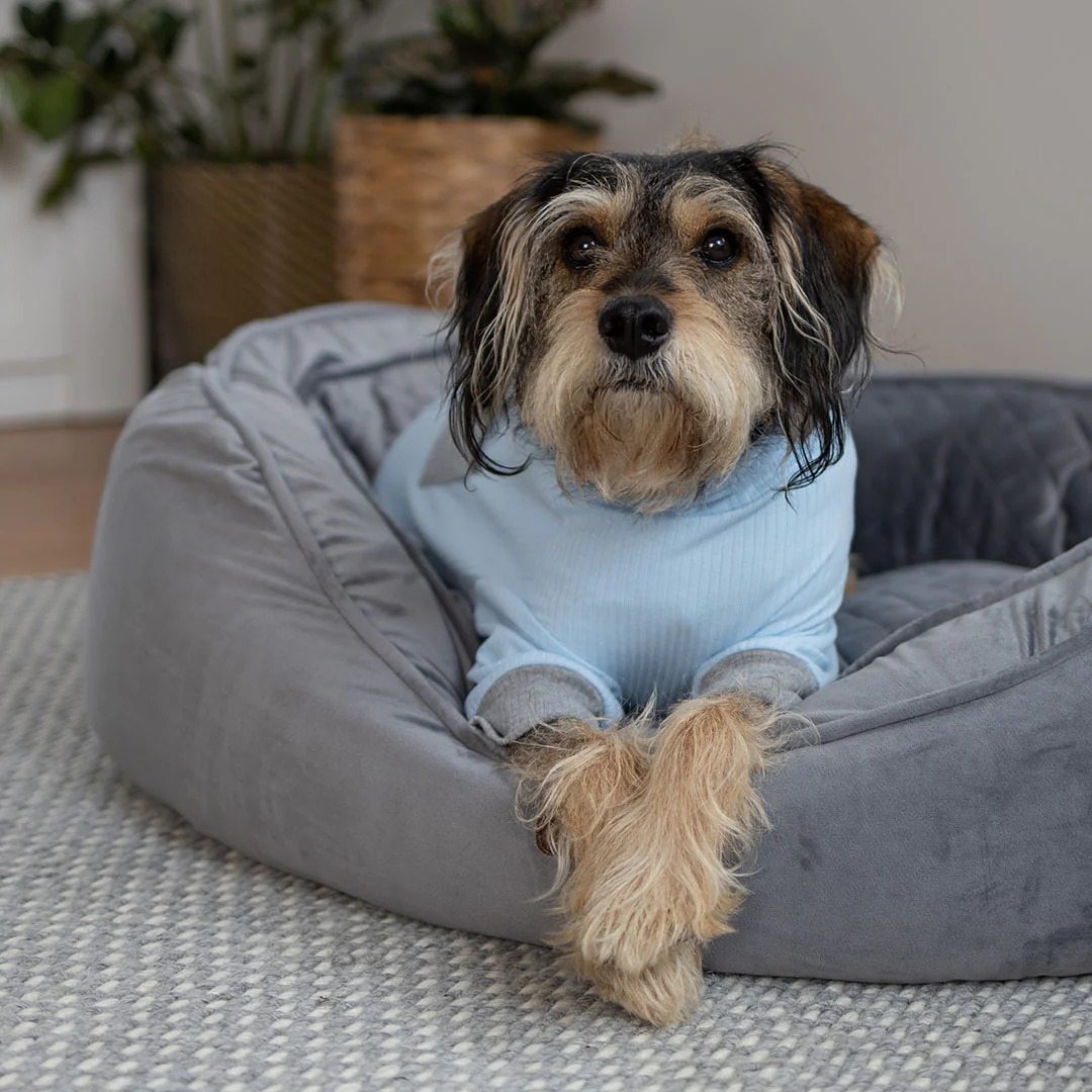 Long John Dog Pyjamas - Blue - Image 12