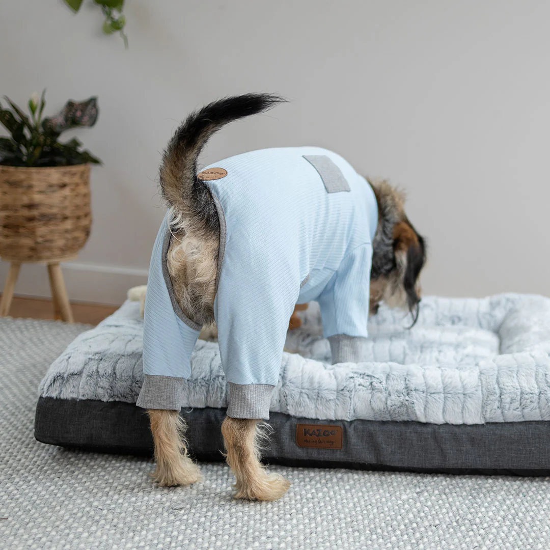 Long John Dog Pyjamas - Blue - Image 4