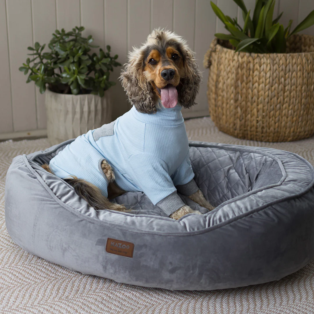 Long John Dog Pyjamas - Blue - Image 5