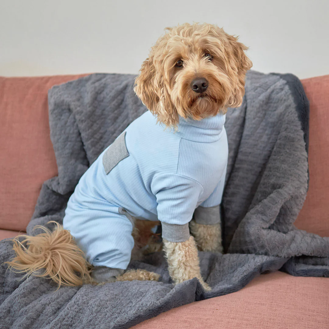 Long John Dog Pyjamas - Blue - Image 7