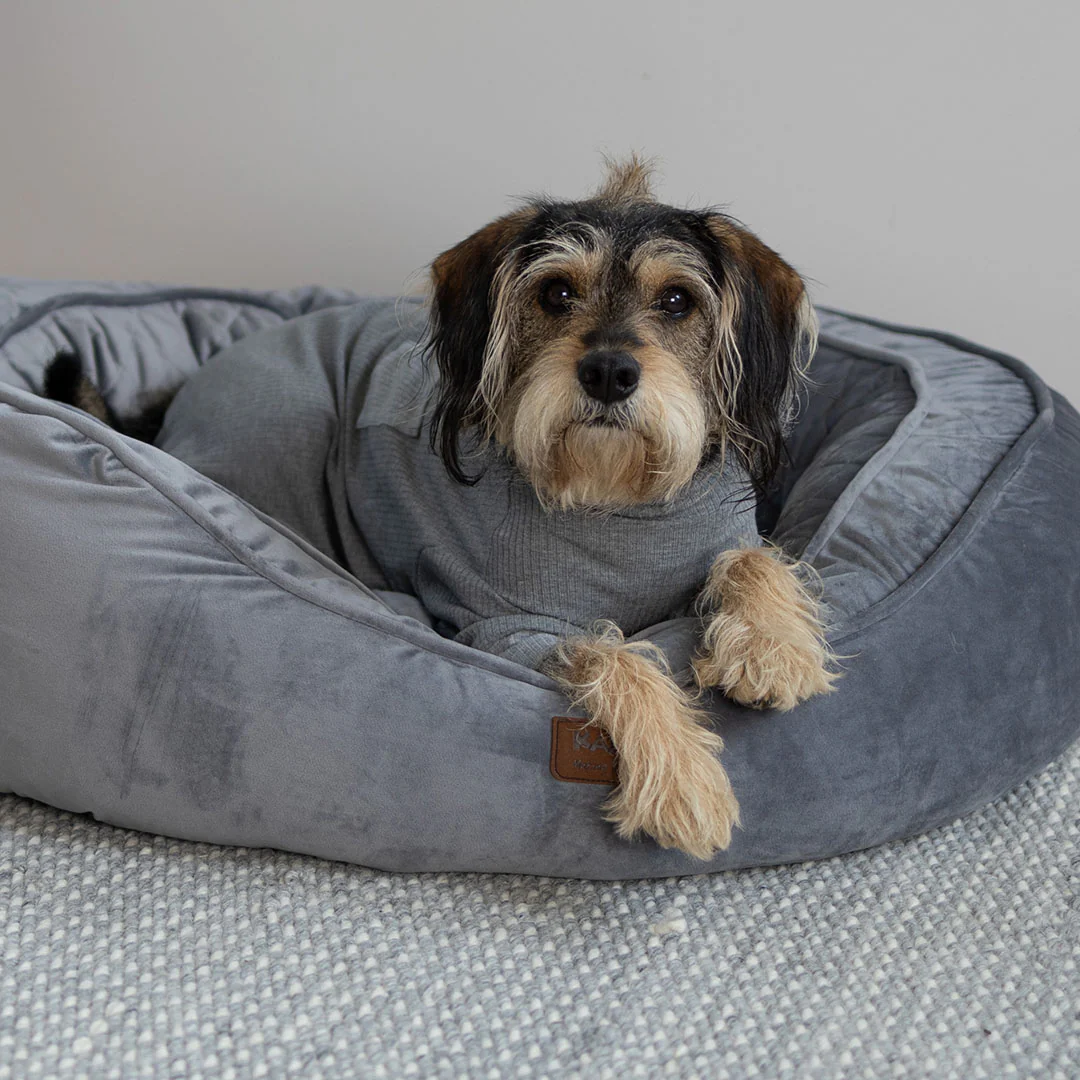 Long John Dog Pyjamas - Grey - Image 10